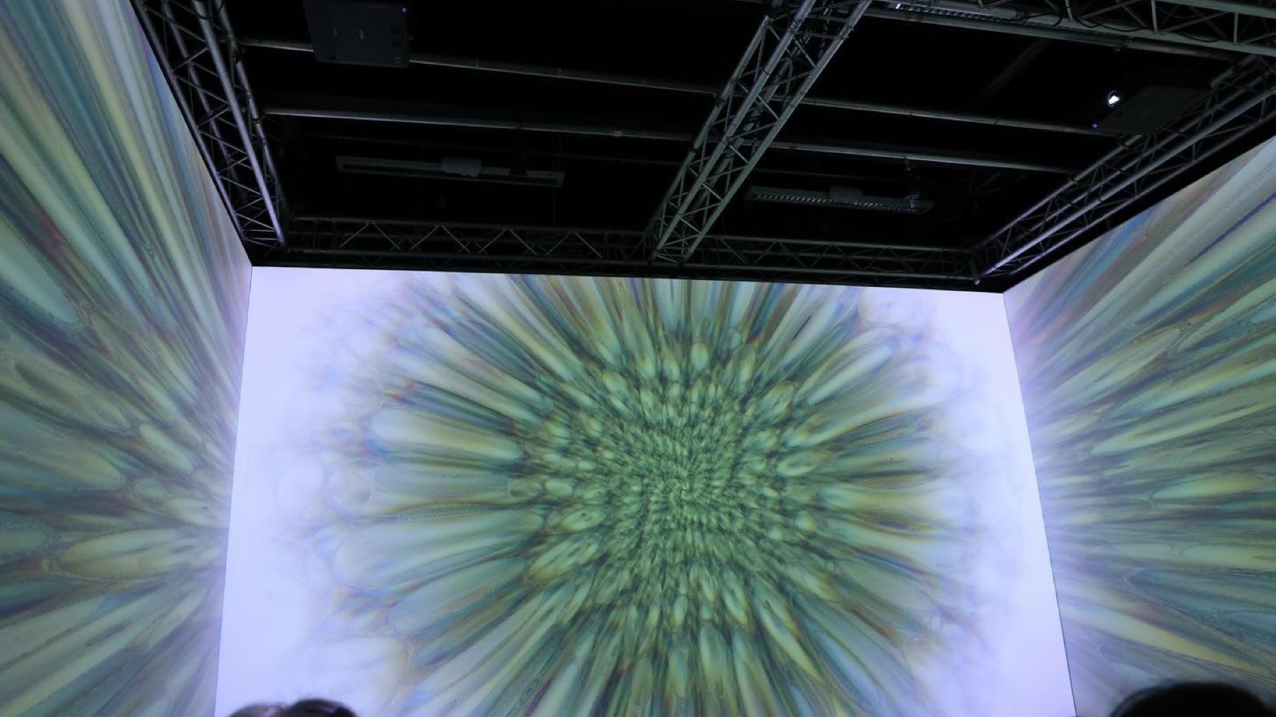 Audience viewing the forest-and-water generative visual, silhouetted.